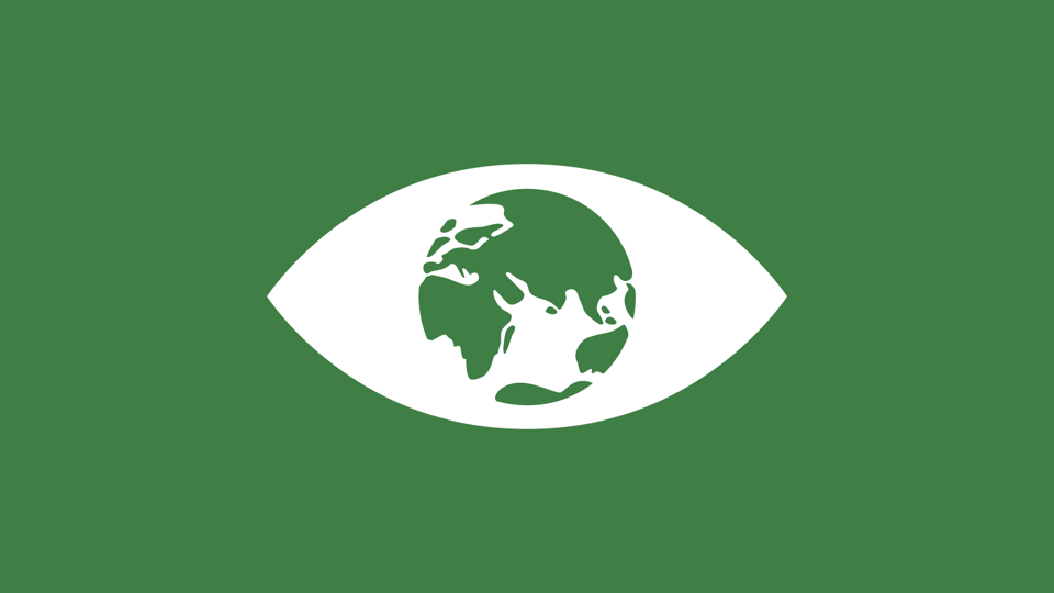 icon of the earth inside an eye