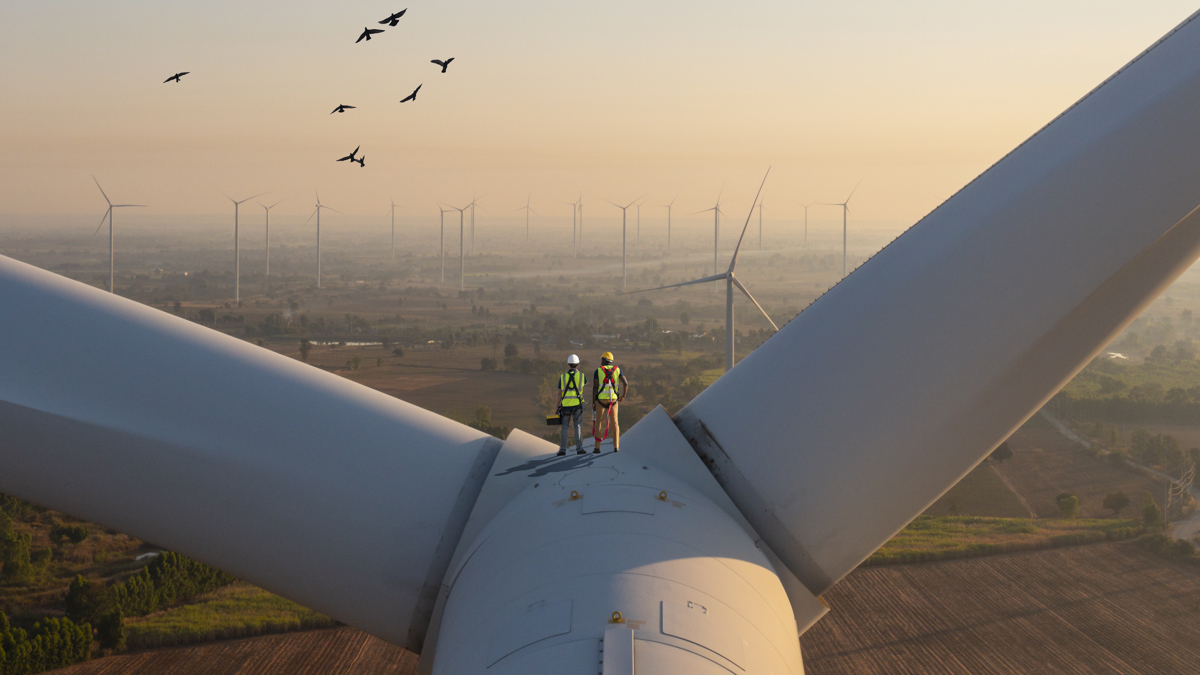 Working at height: the essentials