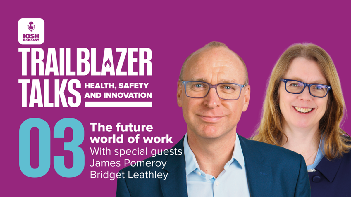 Future challenges facing health and safety professionals