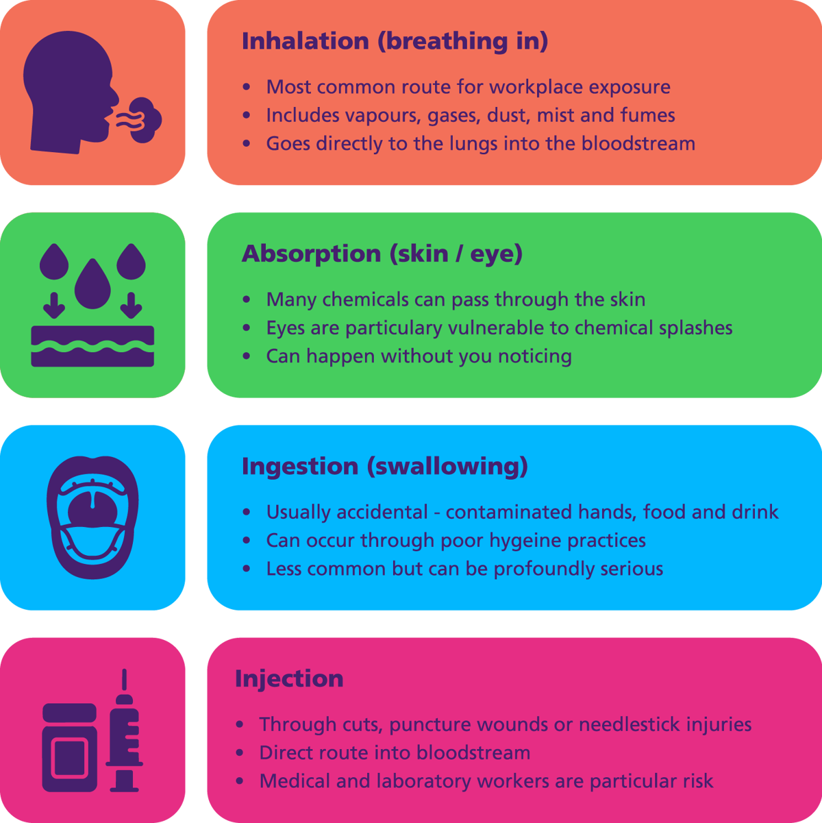 Four routes of entry for hazardous substances into the body: inhalation of vapours, gases, dusts, mists and fumes through the lungs; absorption through the skin or eyes, including unnoticed exposure; ingestion from contaminated hands, food or drink, often due to poor hygiene; and injection through cuts, puncture wounds or needlestick injuries, providing a direct route into the bloodstream.