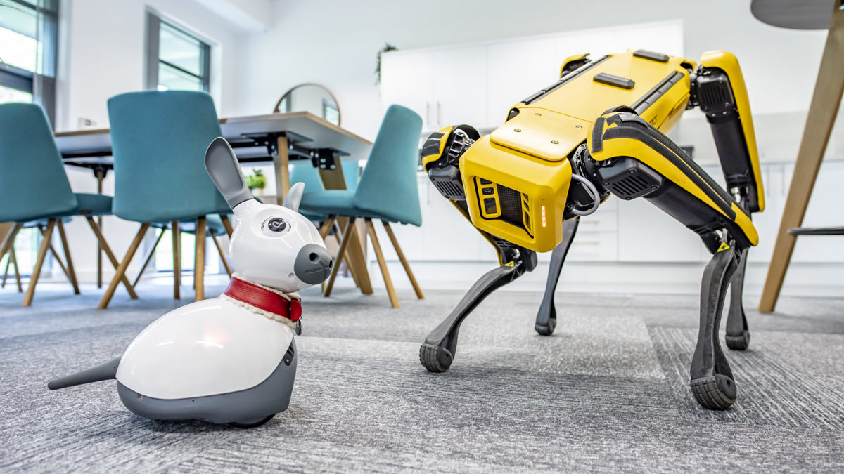 The Health and Safety Event