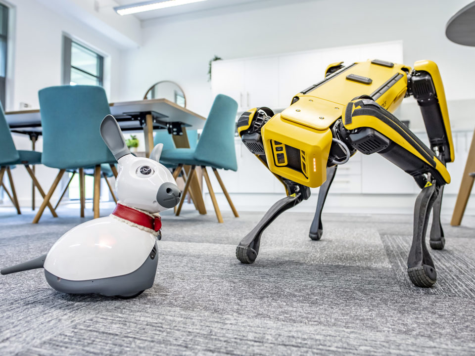 Spot and Miro, collaborative robots from the University of Nottingham