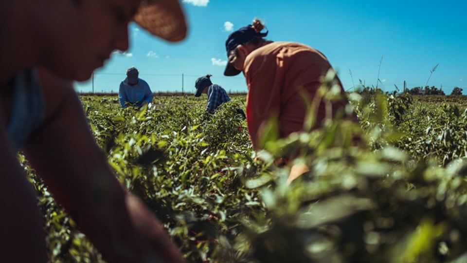 IOSH voices support for proposed US heat rule