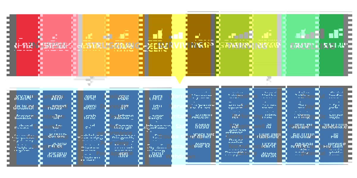 A five‑stage mental health continuum showing: In Crisis, Struggling, Surviving, Thriving and Excelling, each with example behaviours listed beneath.