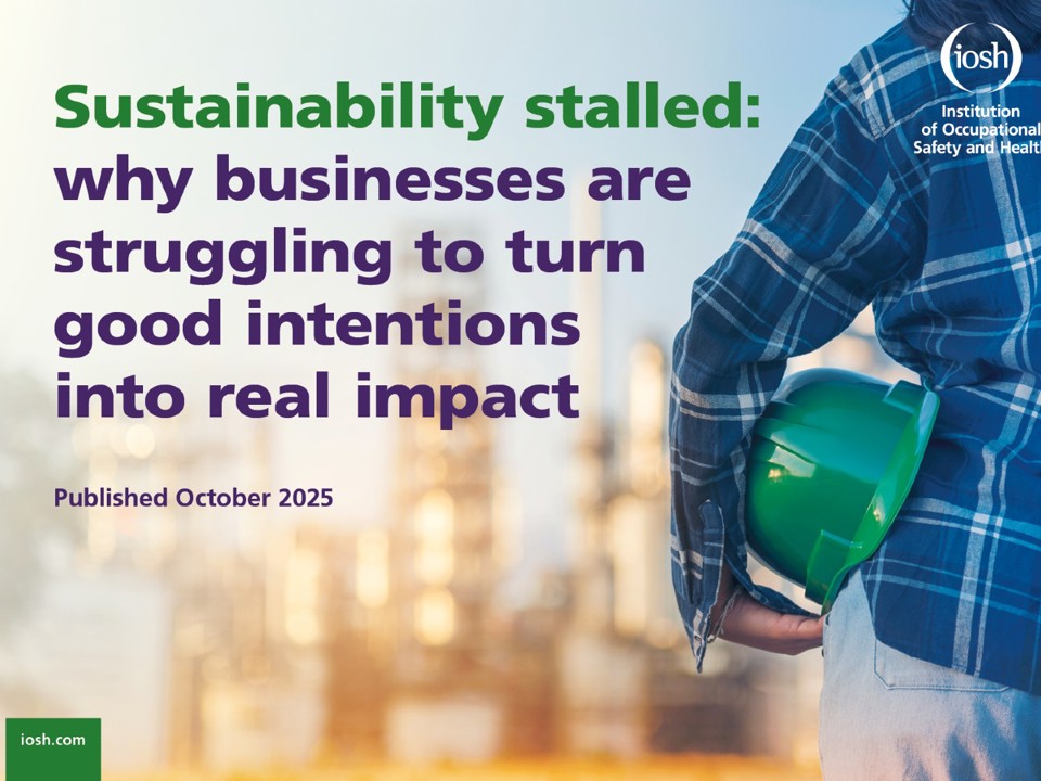 Front cover. Sustainability stalled: why businesses are struggling to turn good intentions into real impact. Published October 2025.