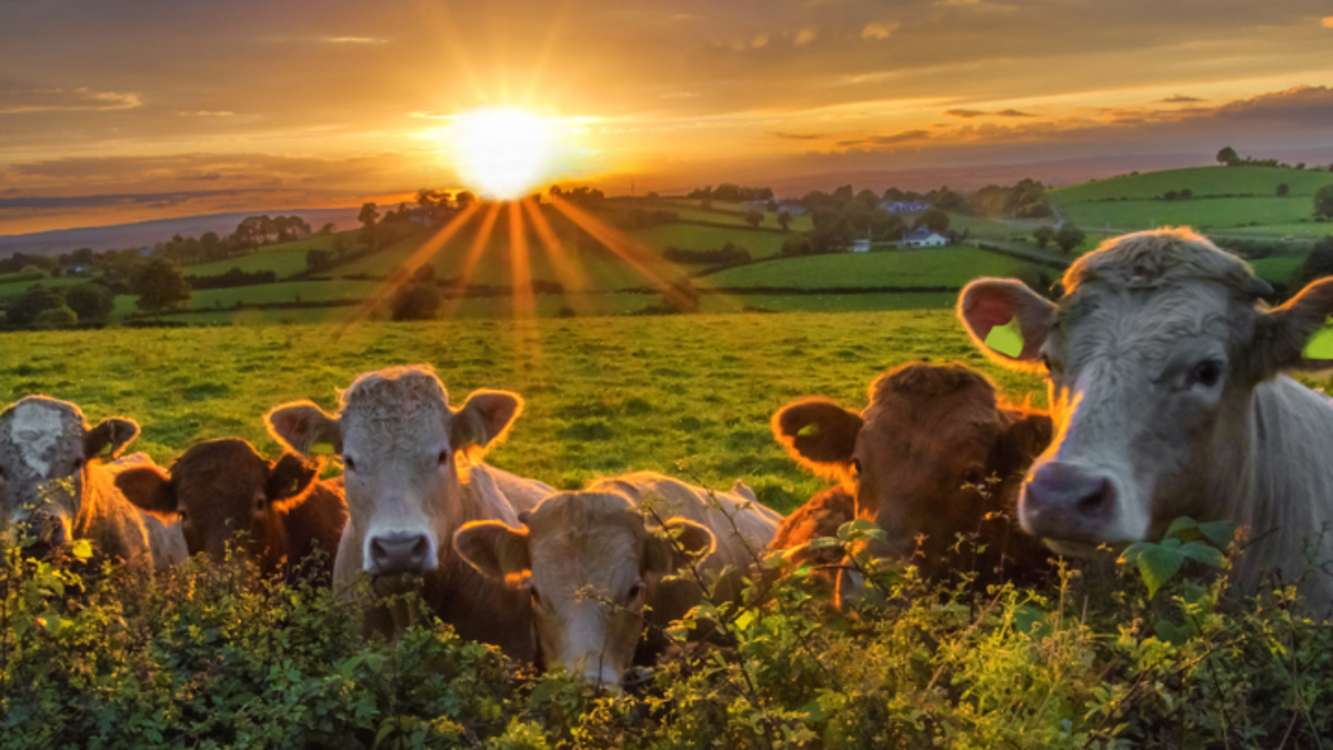 It’s time to make farm life safer, healthier and happier