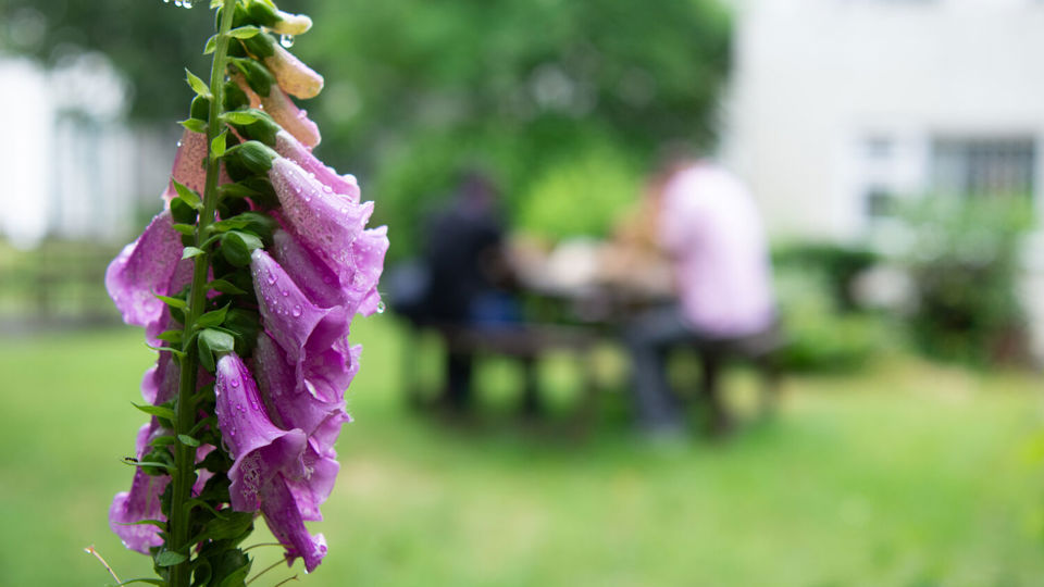 How does your workplace garden grow?
