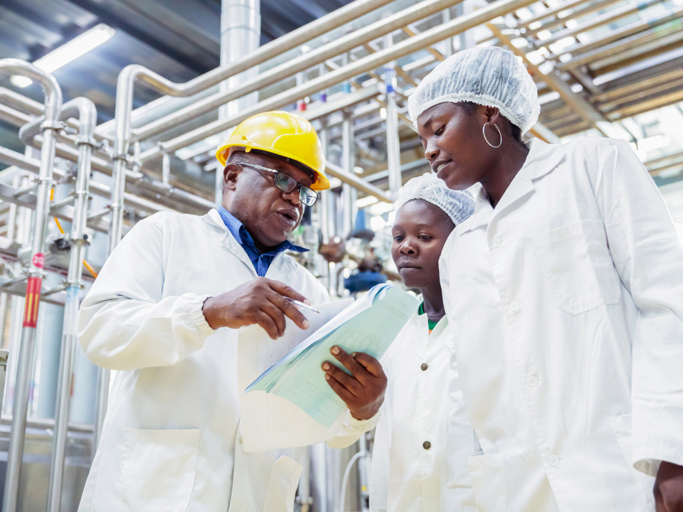 Worldwide business consultancy