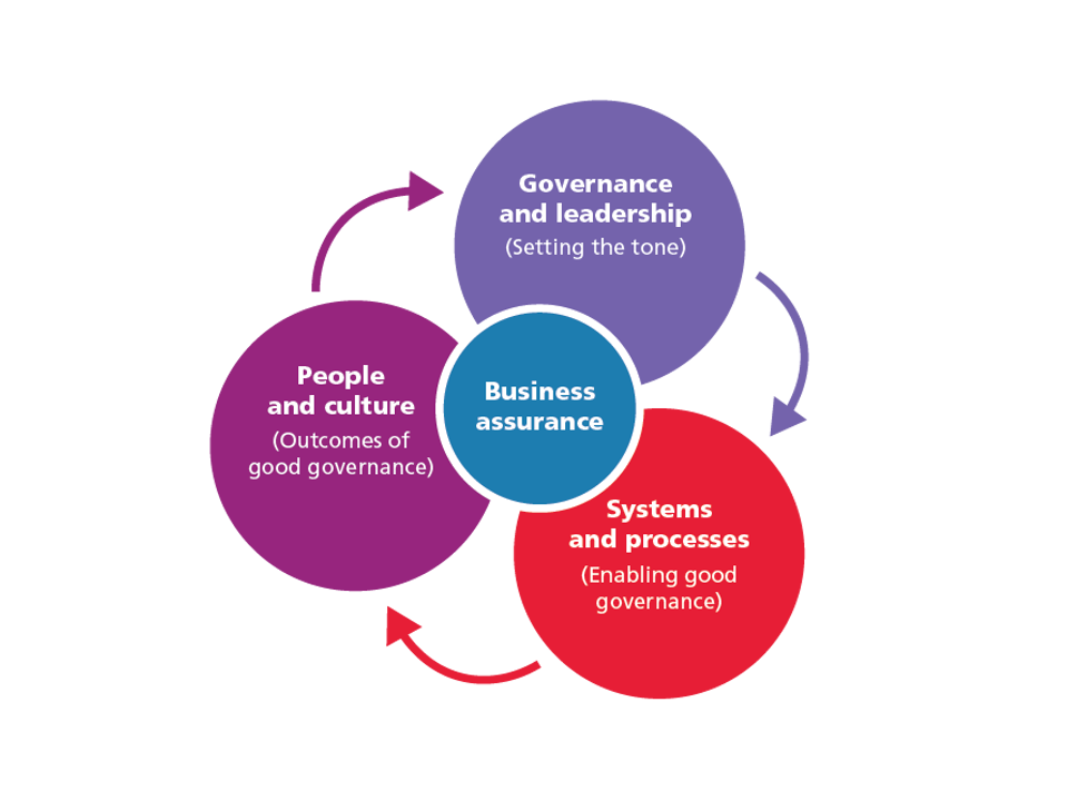 Diagram of the three focal areas of the business assurance tool